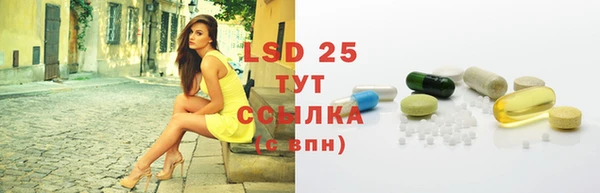 спиды Горняк
