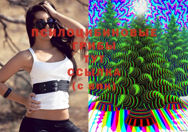 ПСИЛОЦИБИНОВЫЕ ГРИБЫ Вязьма