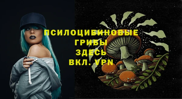 ешки Вязники
