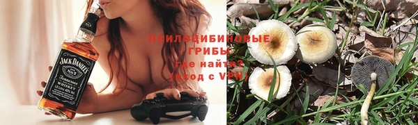 ПСИЛОЦИБИНОВЫЕ ГРИБЫ Вязьма