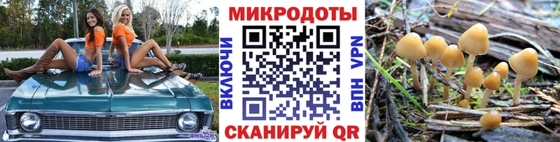 Галлюциногенные грибы мухоморы  где найти наркотики  Ефремов 
